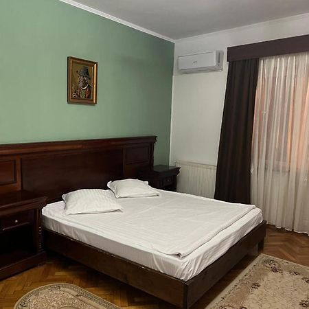 ホテル Pensiunea Diana Făgăraş エクステリア 写真