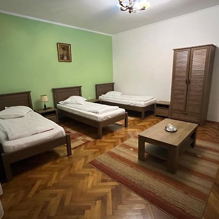 ホテル Pensiunea Diana Făgăraş エクステリア 写真