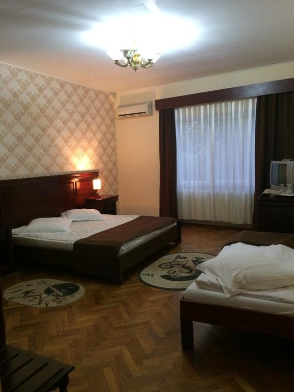 ホテル Pensiunea Diana Făgăraş エクステリア 写真